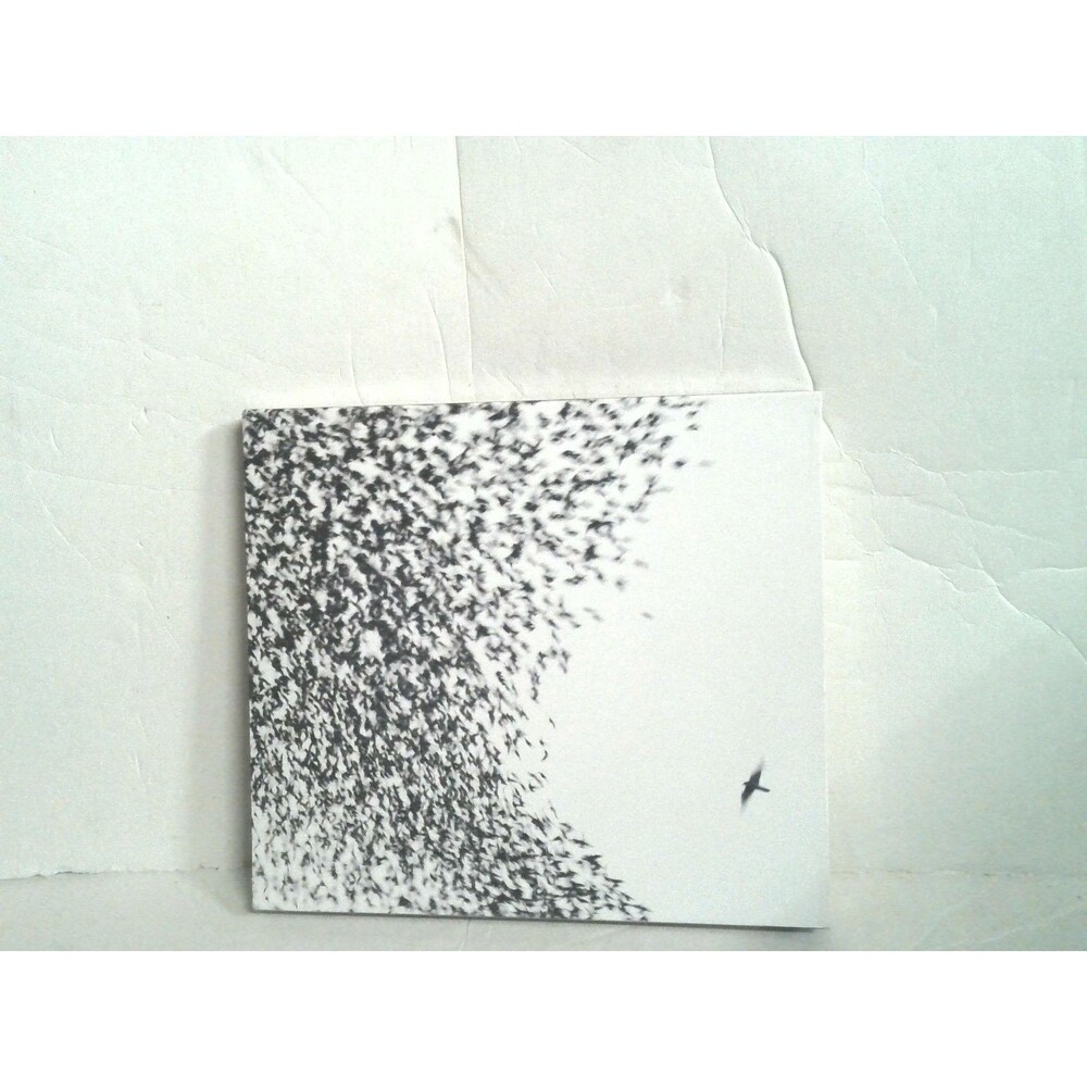 Wilco - Sky Blue Sky CD 2007 Indie Rock Nonesuch Records W/Slipcover